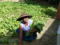 7 - Mandalay - (Mingun et Thone Se Pay)  (61)